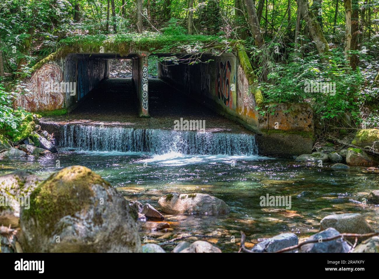Flow Stream Pool A stream flows under a tunnel and into a pool and then to Denny Creek ...
