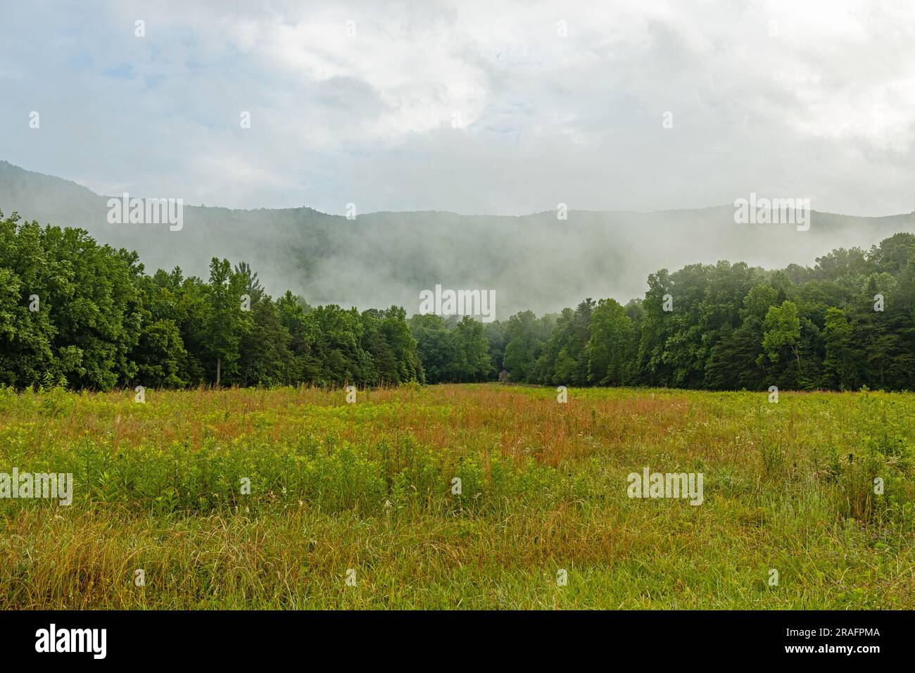 landscape in the Great Smoky Mountains National Park near Cades Cove