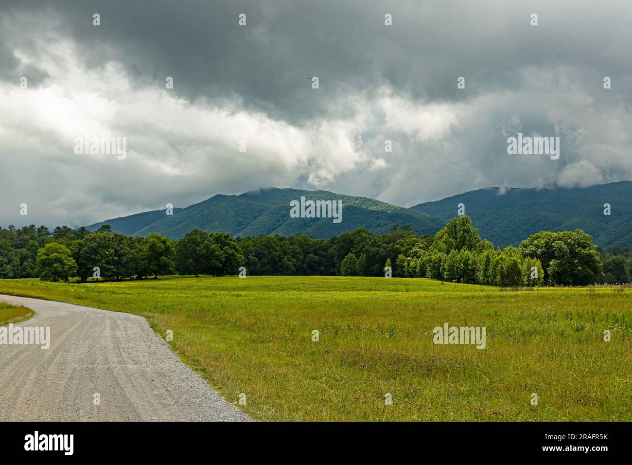 landscape in the Great Smoky Mountains National Park near Cades Cove
