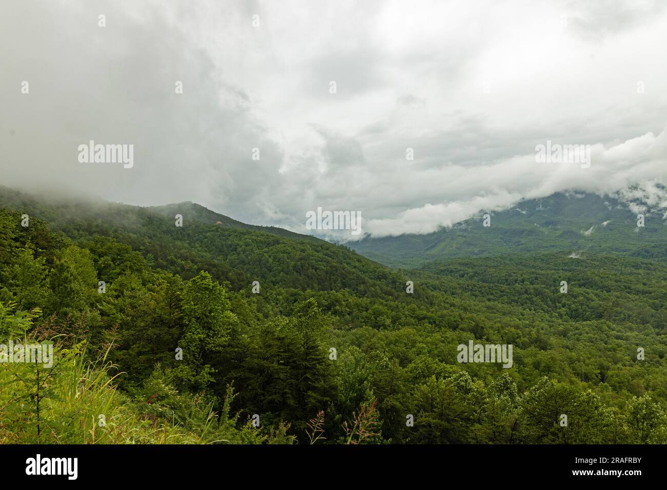 landscape in the eastern Great Smoky Mountains National Park Stock Photo