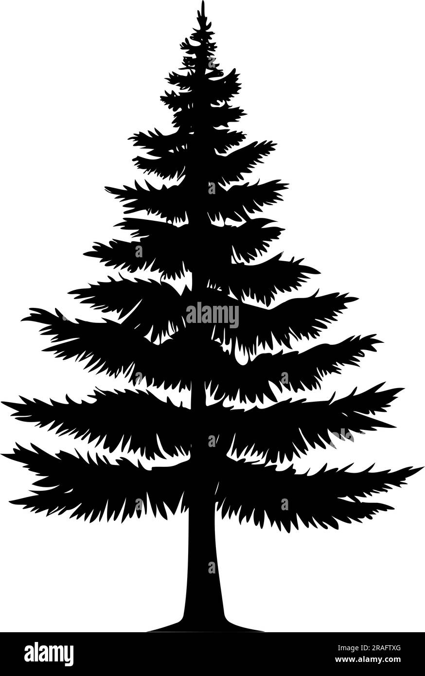 Conifer tree silhouette isolated on white background. vector illustration Stock Vector