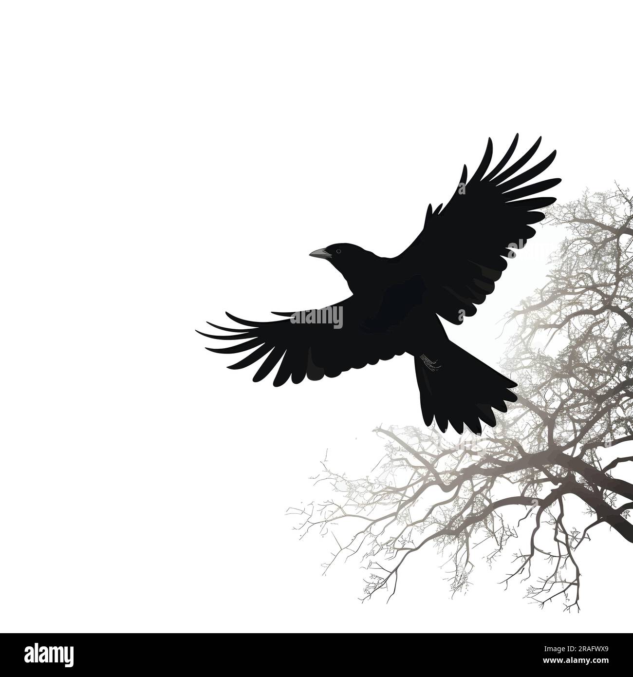 Vector illustration of a bird in black silhouette against a clean white