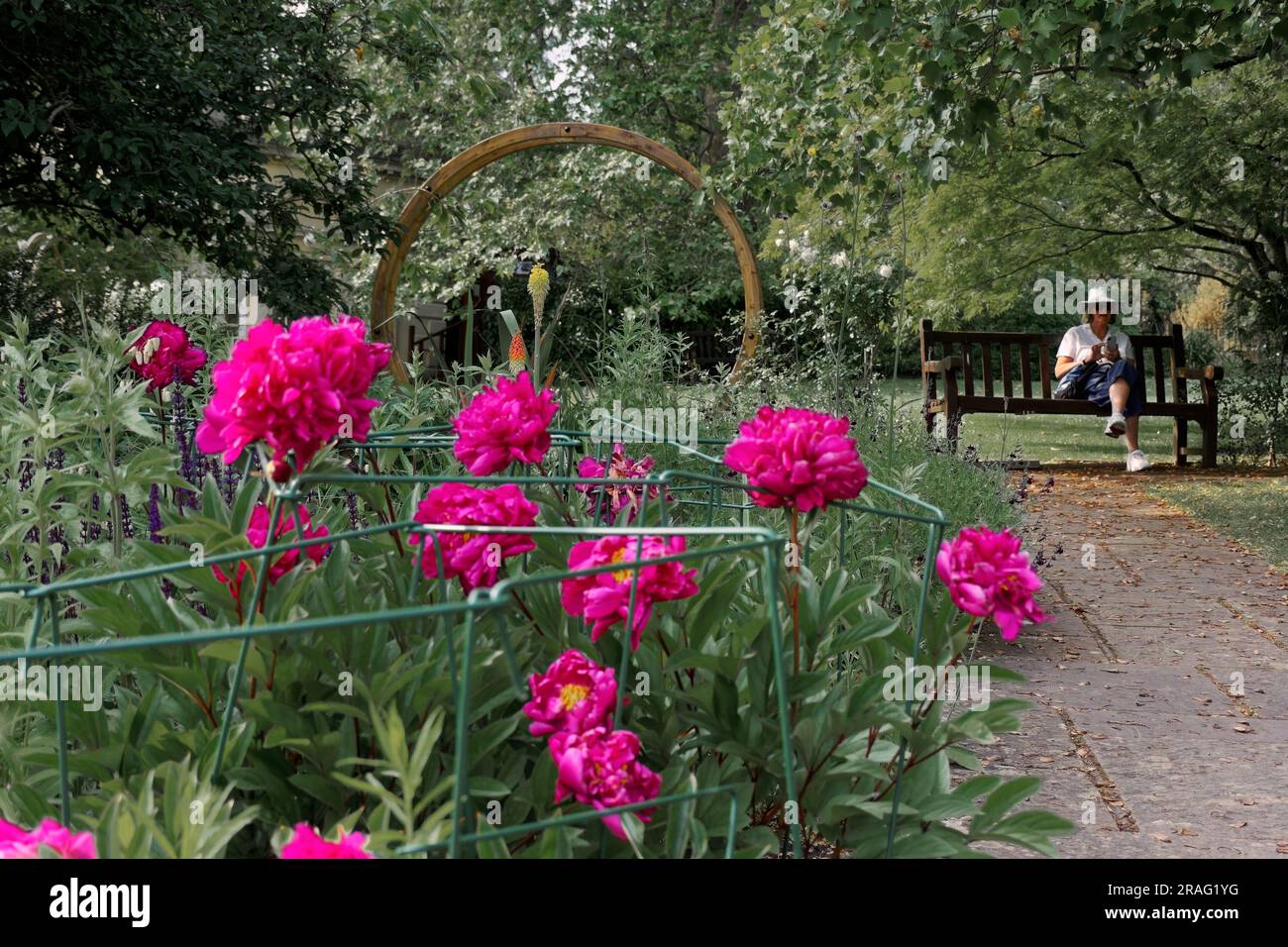 Summer in Botanical Gardens Bath Stock Photo - Alamy