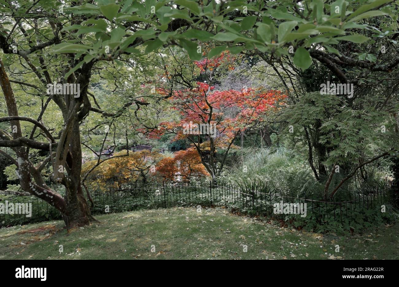 Summer in Botanical Gardens Bath Stock Photo Alamy