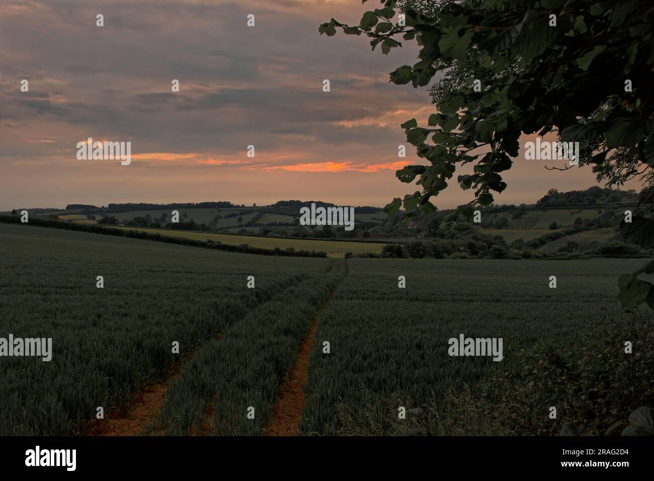 Circuit of Bath sunset walk Stock Photo - Alamy