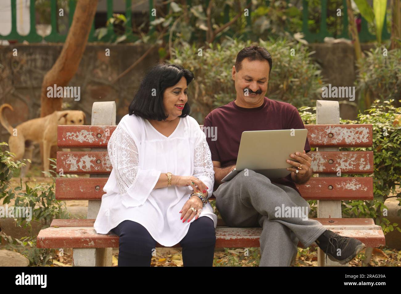 Beautiful Old Indian Happy couple sitting together in the park and having joyful moments of life. Planning for vacations together. Stock Photo