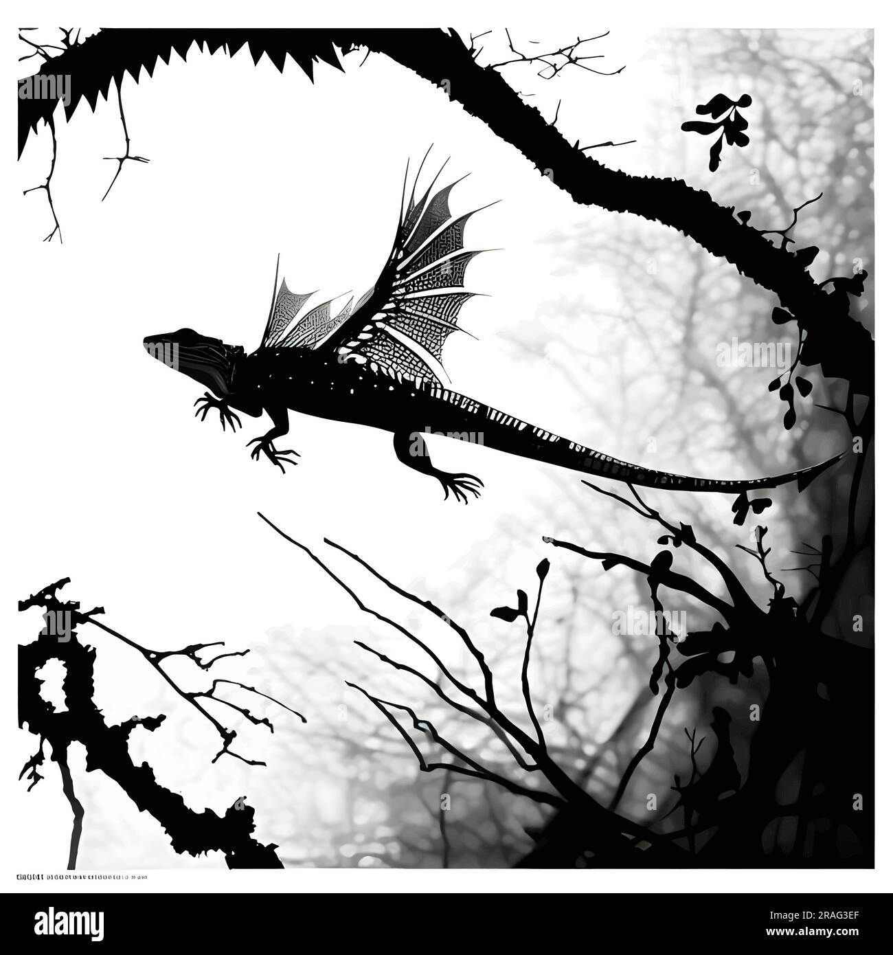 Vector illustration of a lizard in black silhouette against a clean