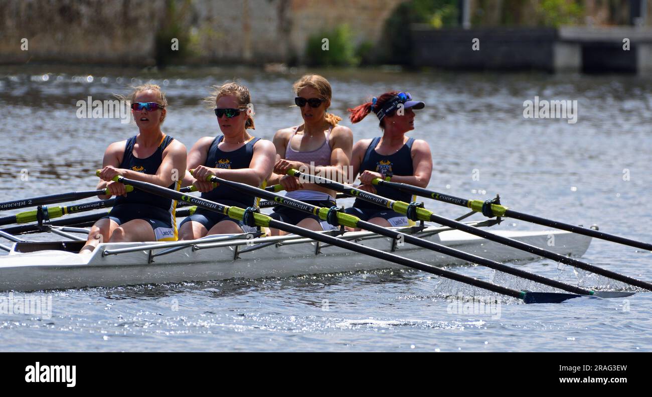 Ladies fours Sculling on river close up. Stock Photo