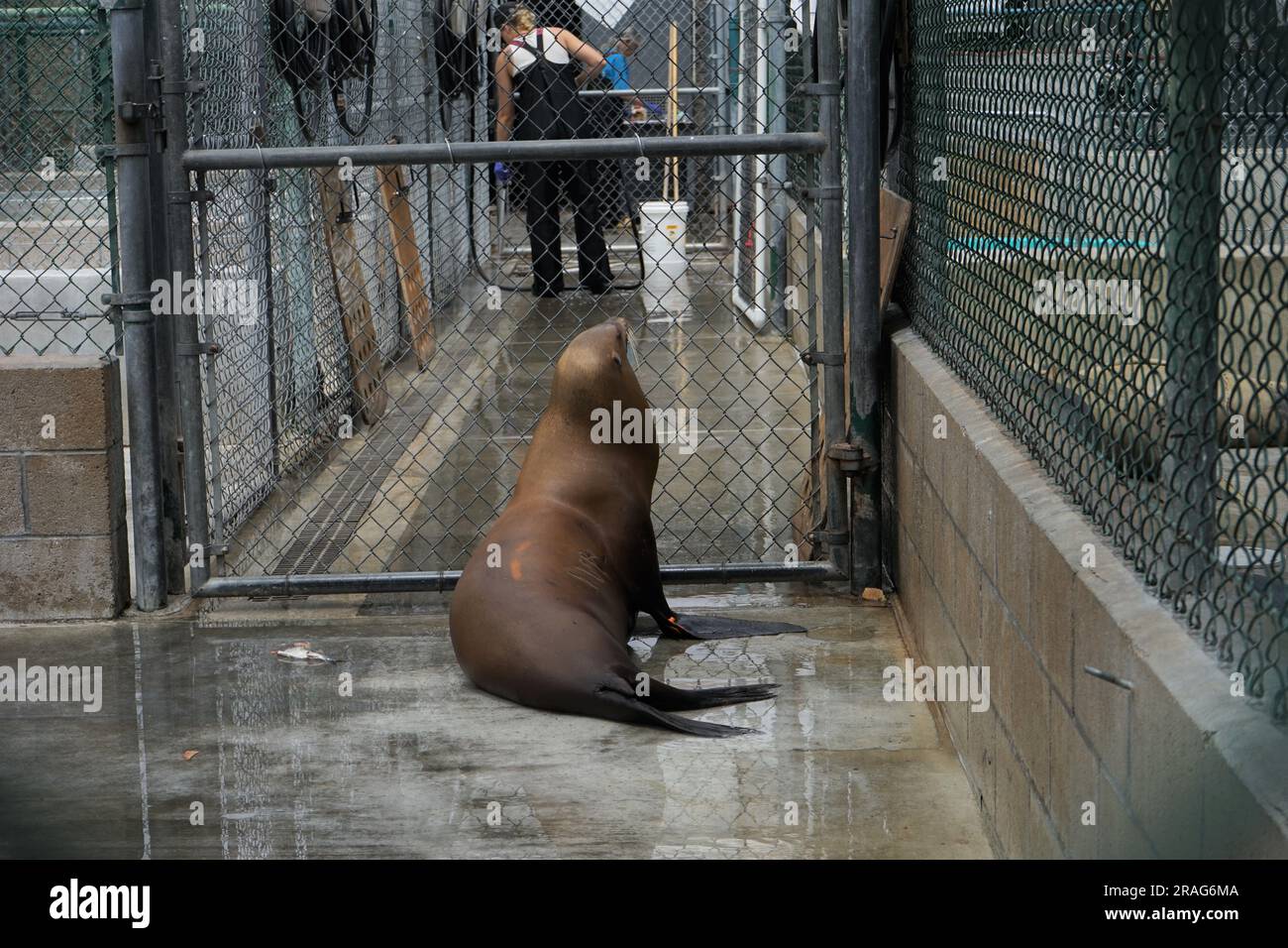 San Pedro, USA. 3rd July, 2023. Photo taken on June 30, 2023 shows a