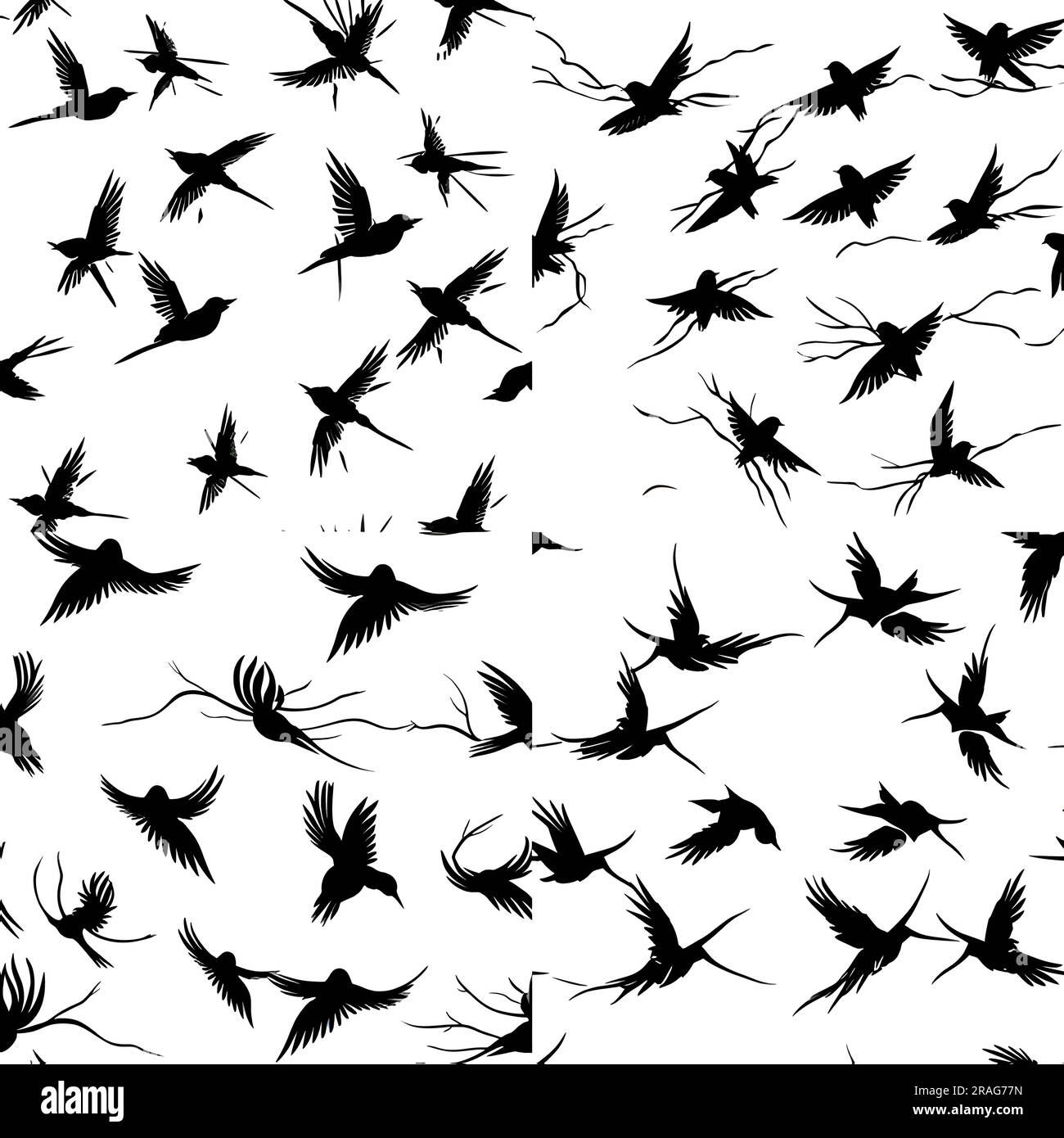 Vector illustration of a birds in black silhouette against a clean