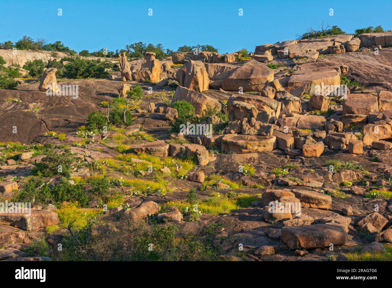 Texas, Hill Country, spans Gillespie & Llano Counties, Enchanted Rock State Natural Area, view from Interpretive Loop trail Stock Photo