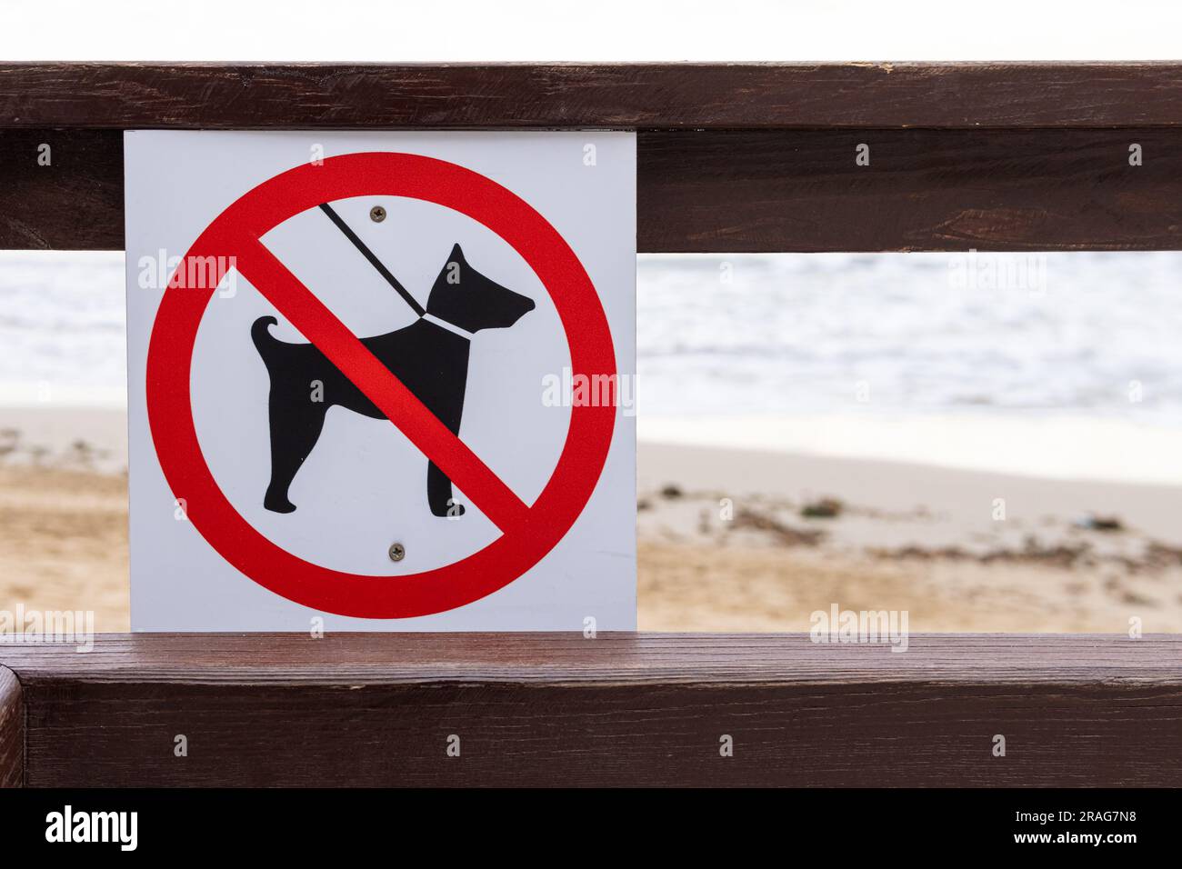 sign on the sea with dogs no entry isolated on the background of the beach. High quality photo Stock Photo