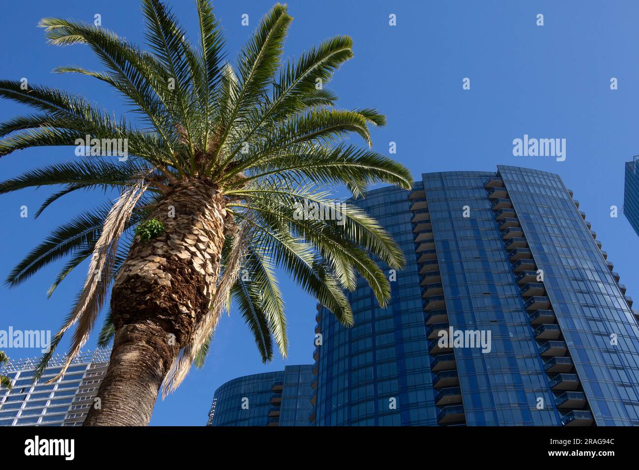 Circa LA Apartments in Downtown Los Angeles, CA, USA Stock Photo Alamy