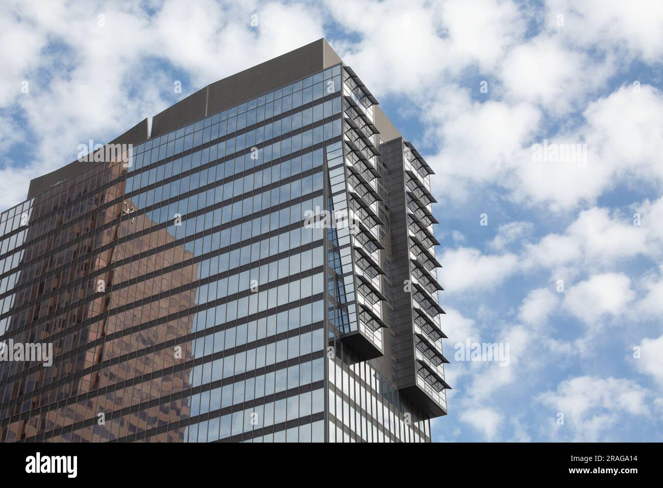 Alina luxury residential tower, part of the Apex Complex in Downtown