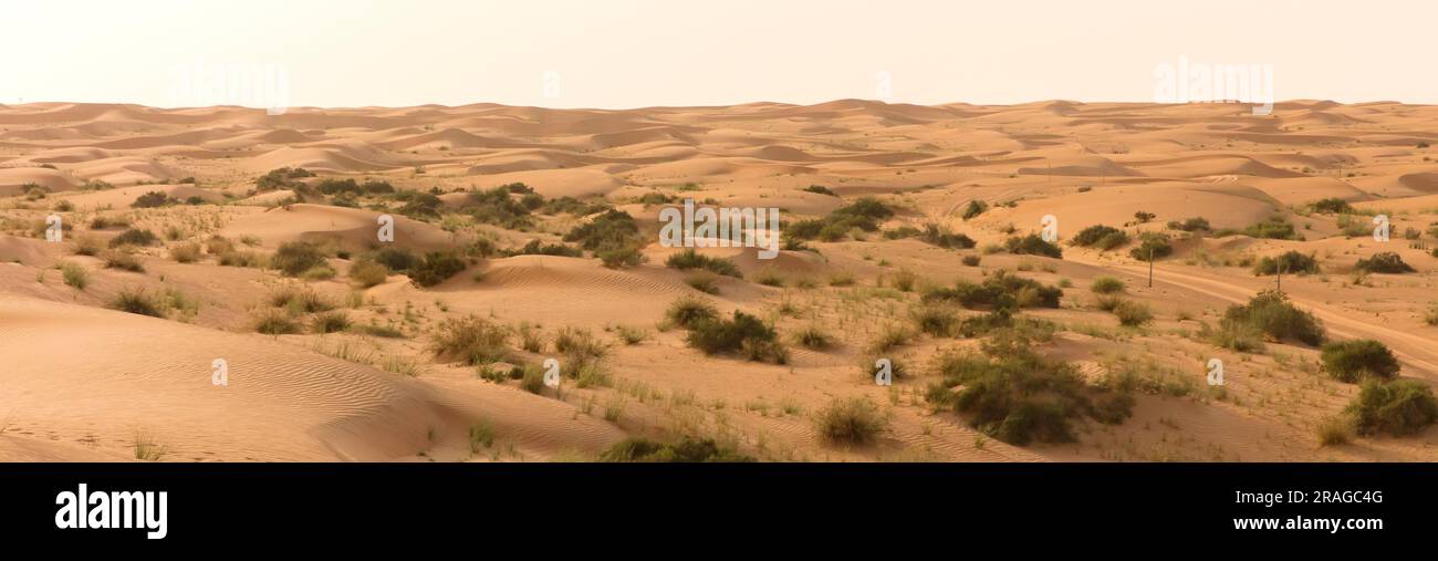 Desert landscape Dubai, UAE with poles marking road Stock Photo