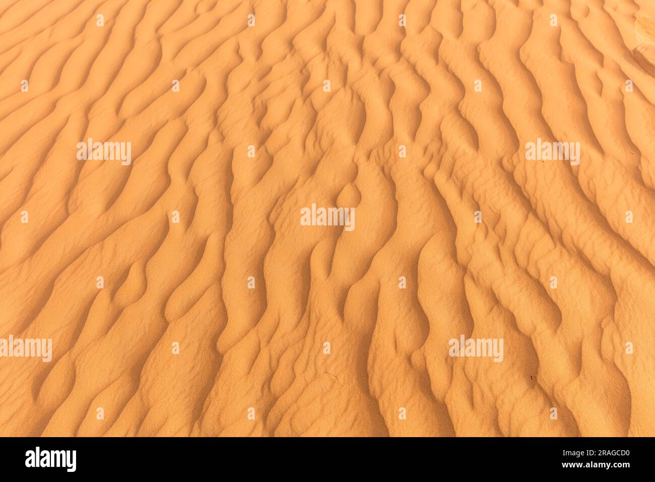ripple lines in the sand desert arabian peninsula Stock Photo