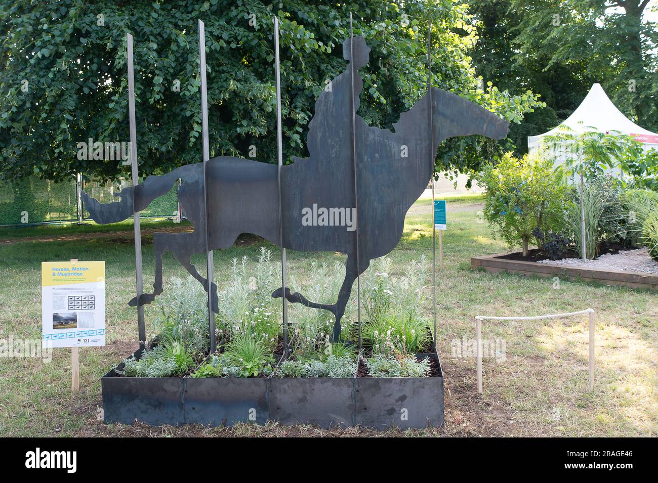 East Molesey, Surrey, UK. 3rd July, 2023. The Horses, Motion & Muybridge Garden at the RHS Hampton Court Palace Garden Festival. The garden is a partnership between The Community Brain, 121 Collective and South Western Railway. Credit: Maureen McLean/Alamy Live News Stock Photo