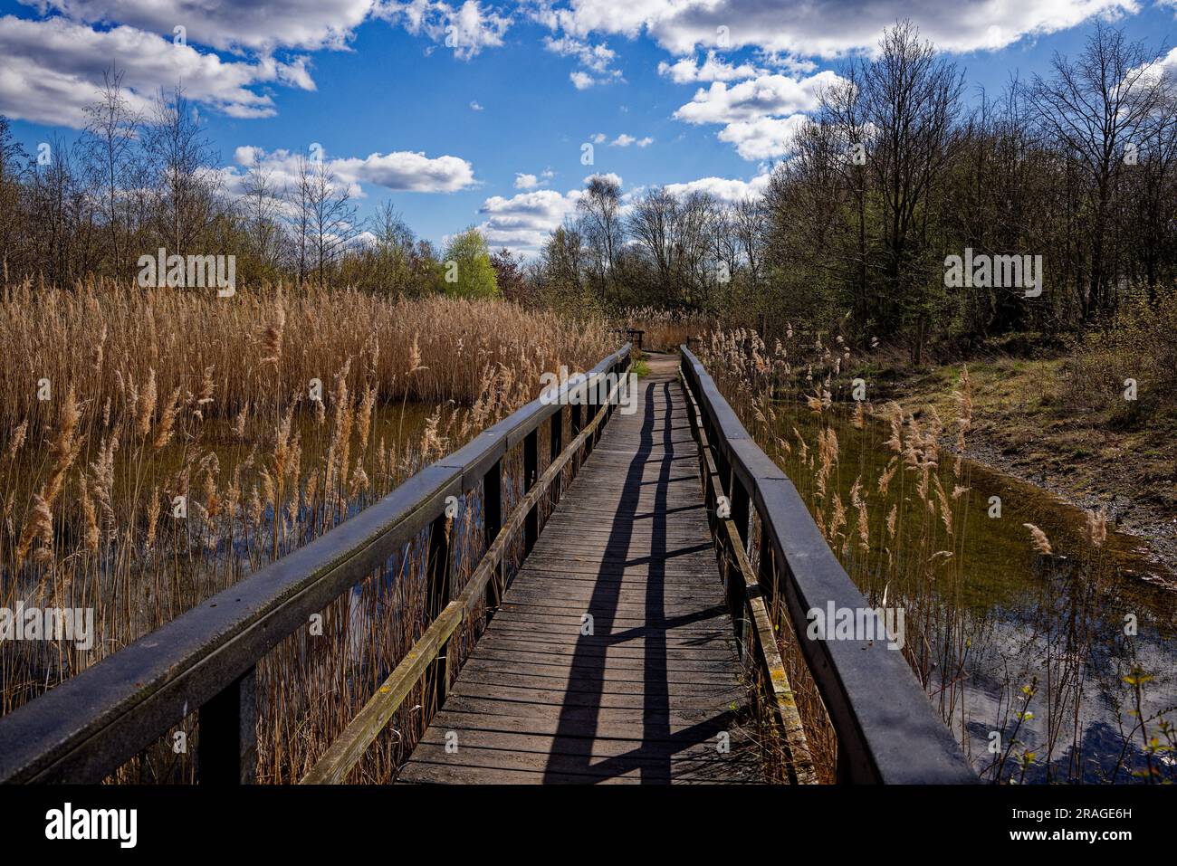 Walkway across pond at Old Moor RSPB Nature Reserve Stock Photo