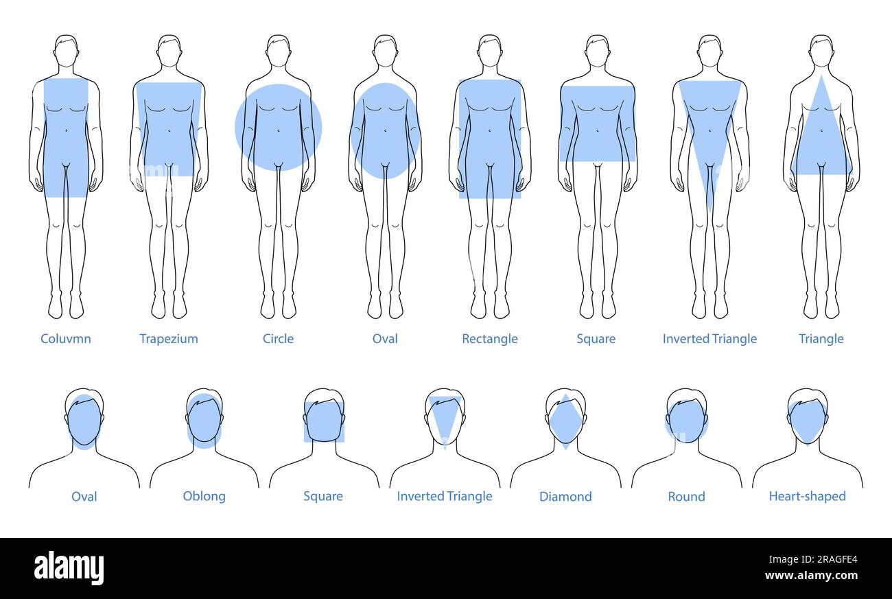 Set of Men face and body shape types - oblong, square, inverted