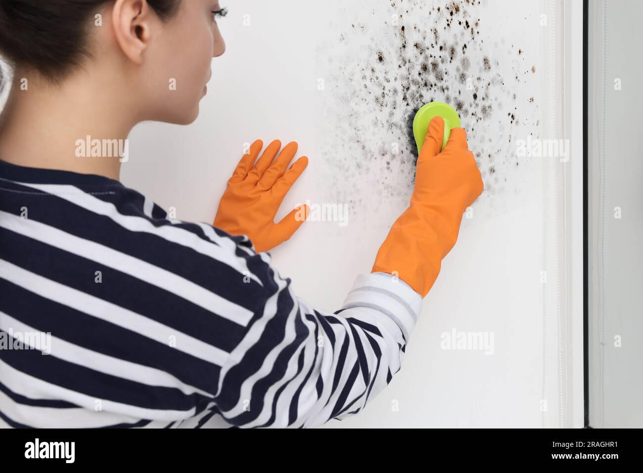 Woman in rubber gloves removing mold from window slope with brush in
