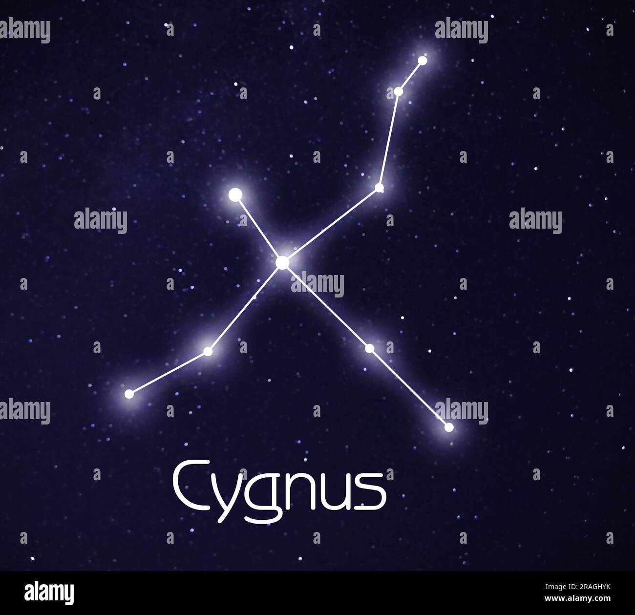 Swan (Cygnus) constellation. Stick figure pattern in starry night sky