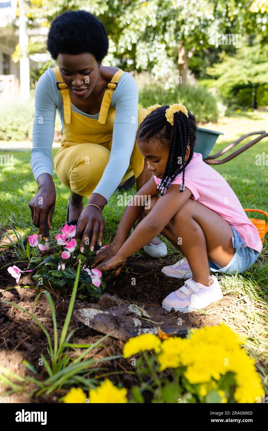 African american mother and daughter planting pink flowers in dirt on