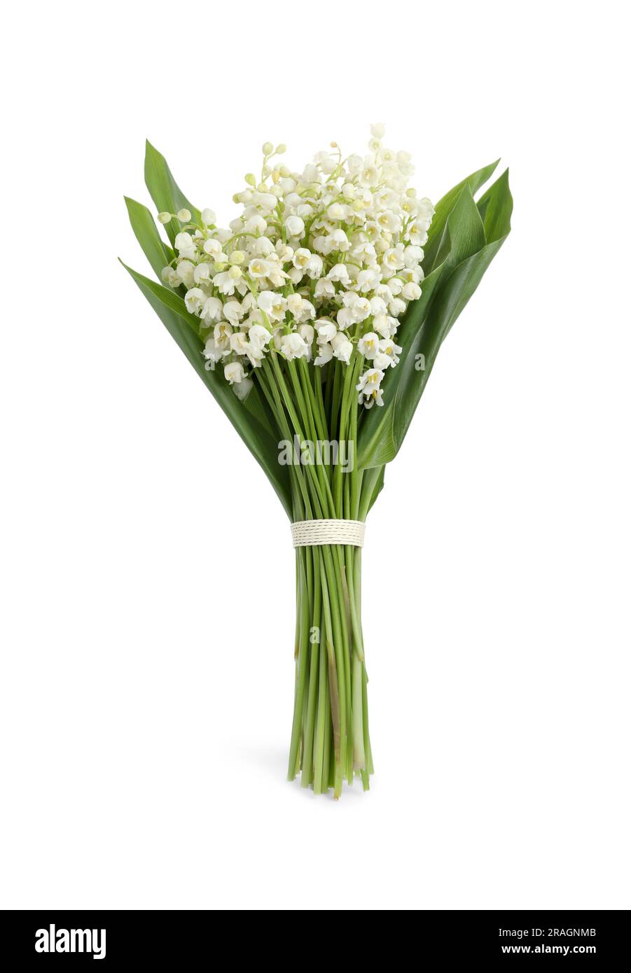 Beautiful lily of the valley bouquet on white background Stock Photo ...