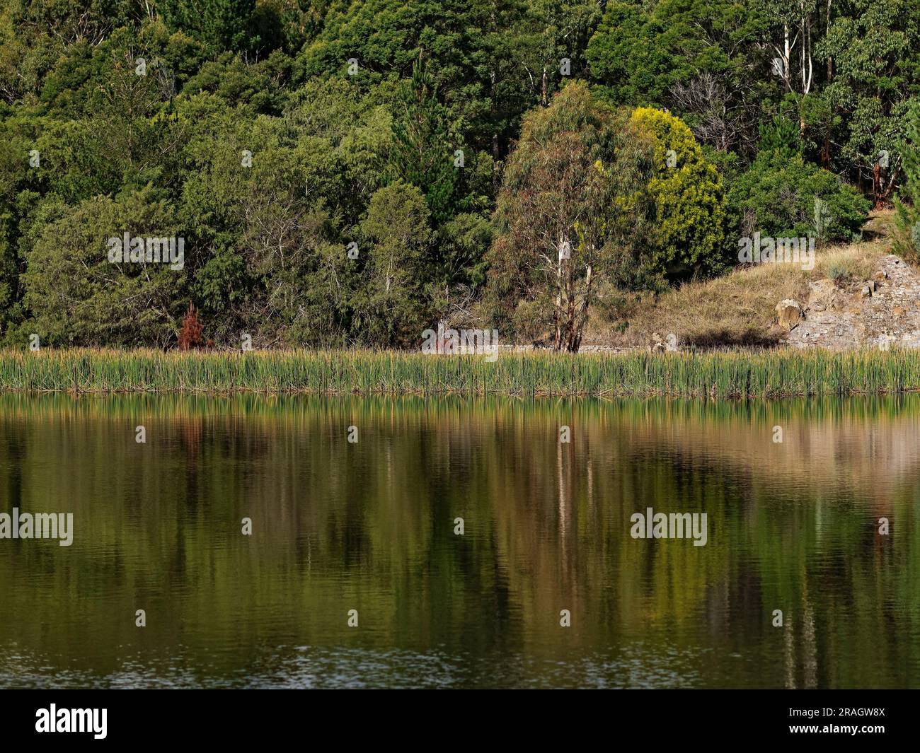 Ballarat Australia / Kirks Reservoir Park is a beautiful location.The