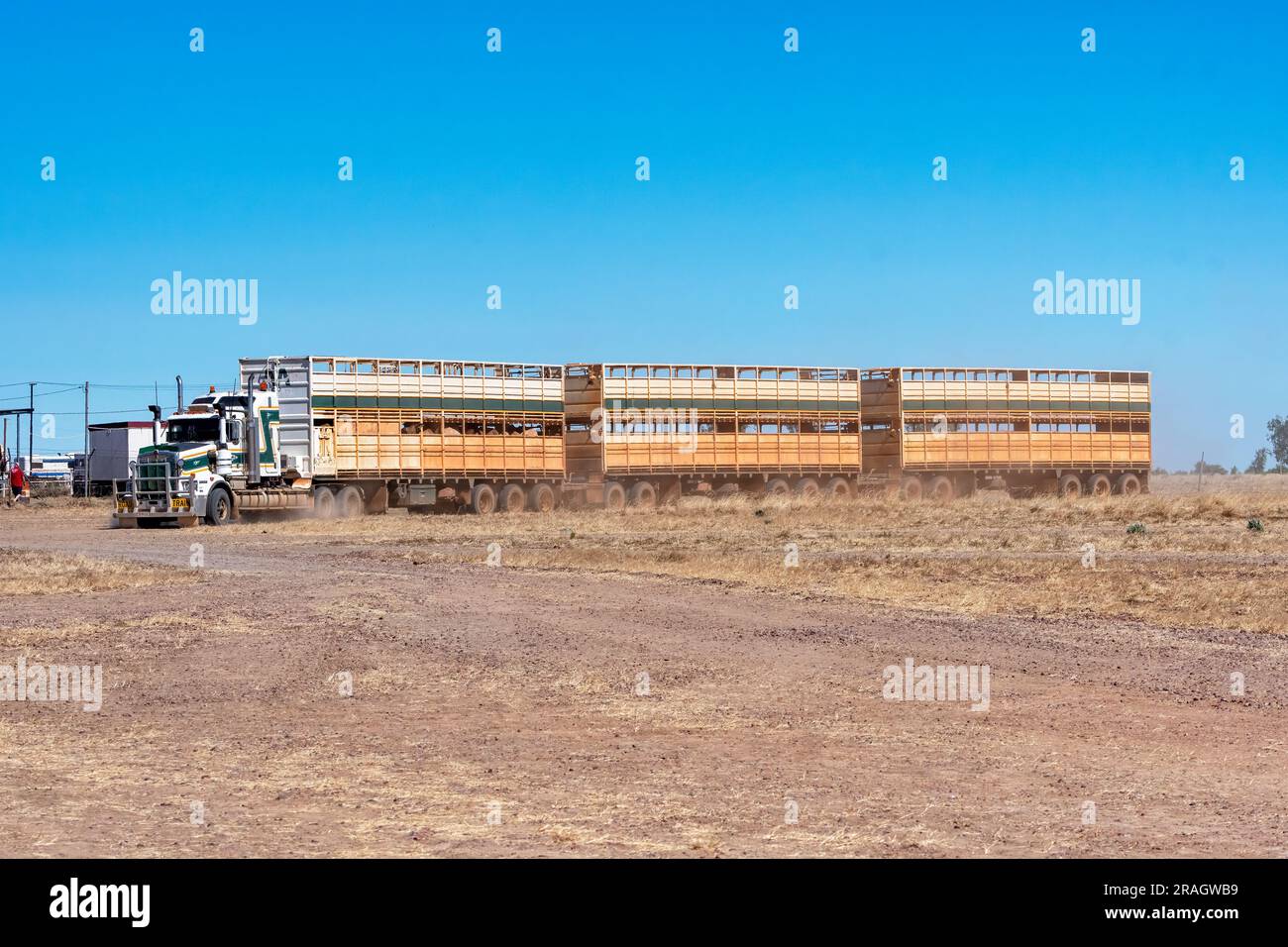Cattle Truck with three trailers, Brunette Downs Cattle Station, Barkly Tablelands, Northern Territory, NT, Australia Stock Photo