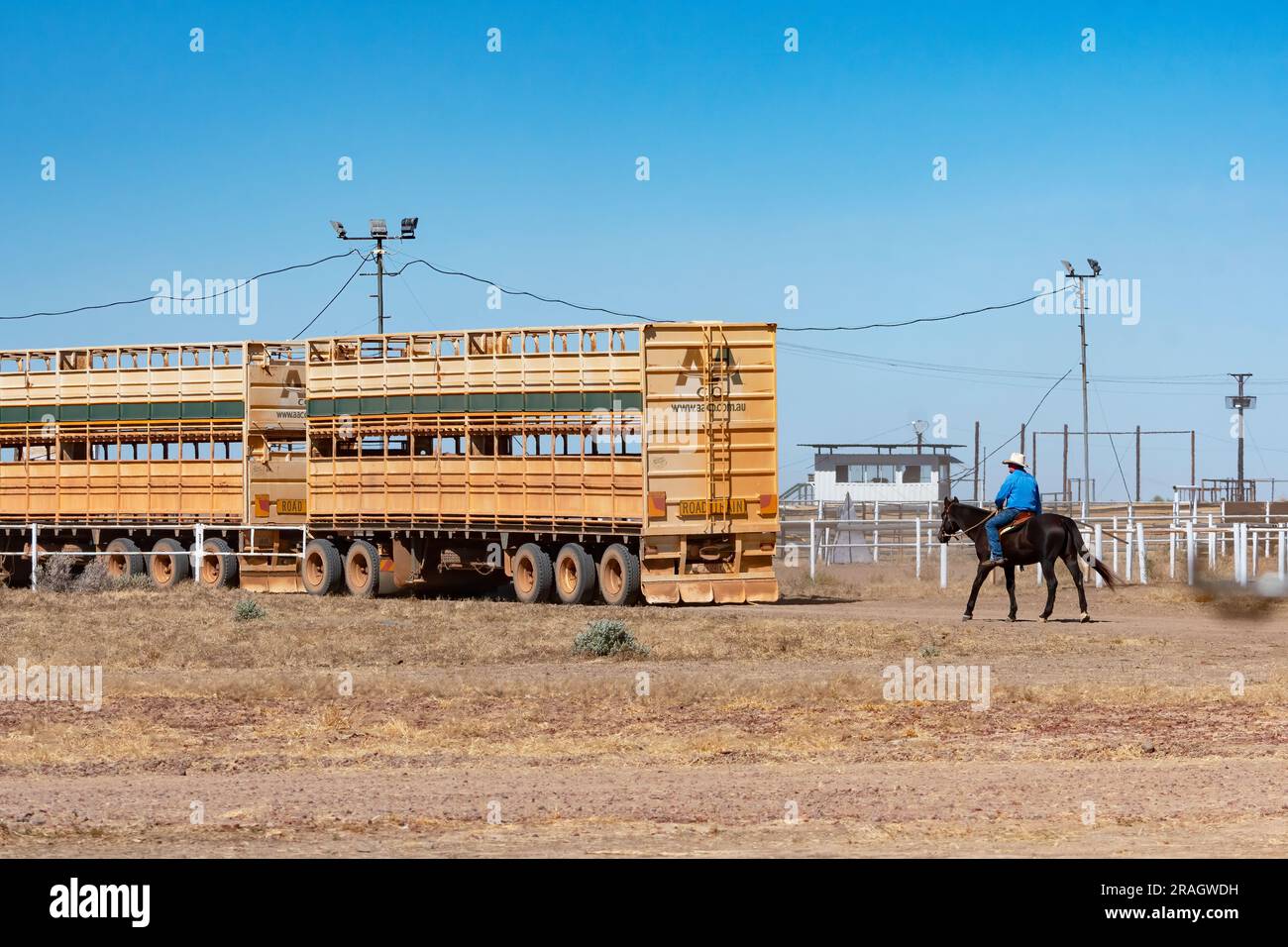 Stockman rides next to a cattle truck, Brunette Downs Cattle Station, Barkly Tablelands, Northern Territory, NT, Australia Stock Photo