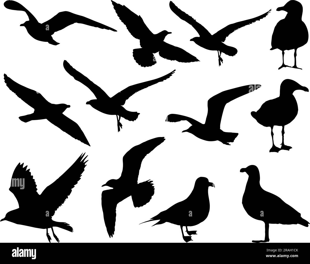 Set of Seagull Bird Silhouette Stock Vector Image & Art - Alamy