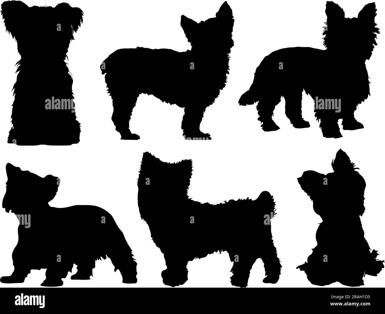 Set of Yorkshire Dog Silhouette Stock Vector