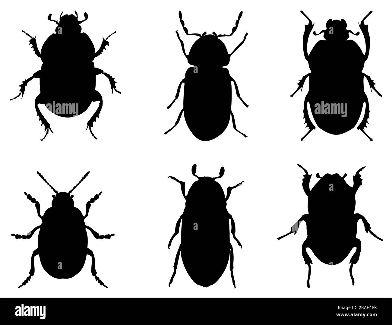 Set of Beetle Silhouette Stock Vector