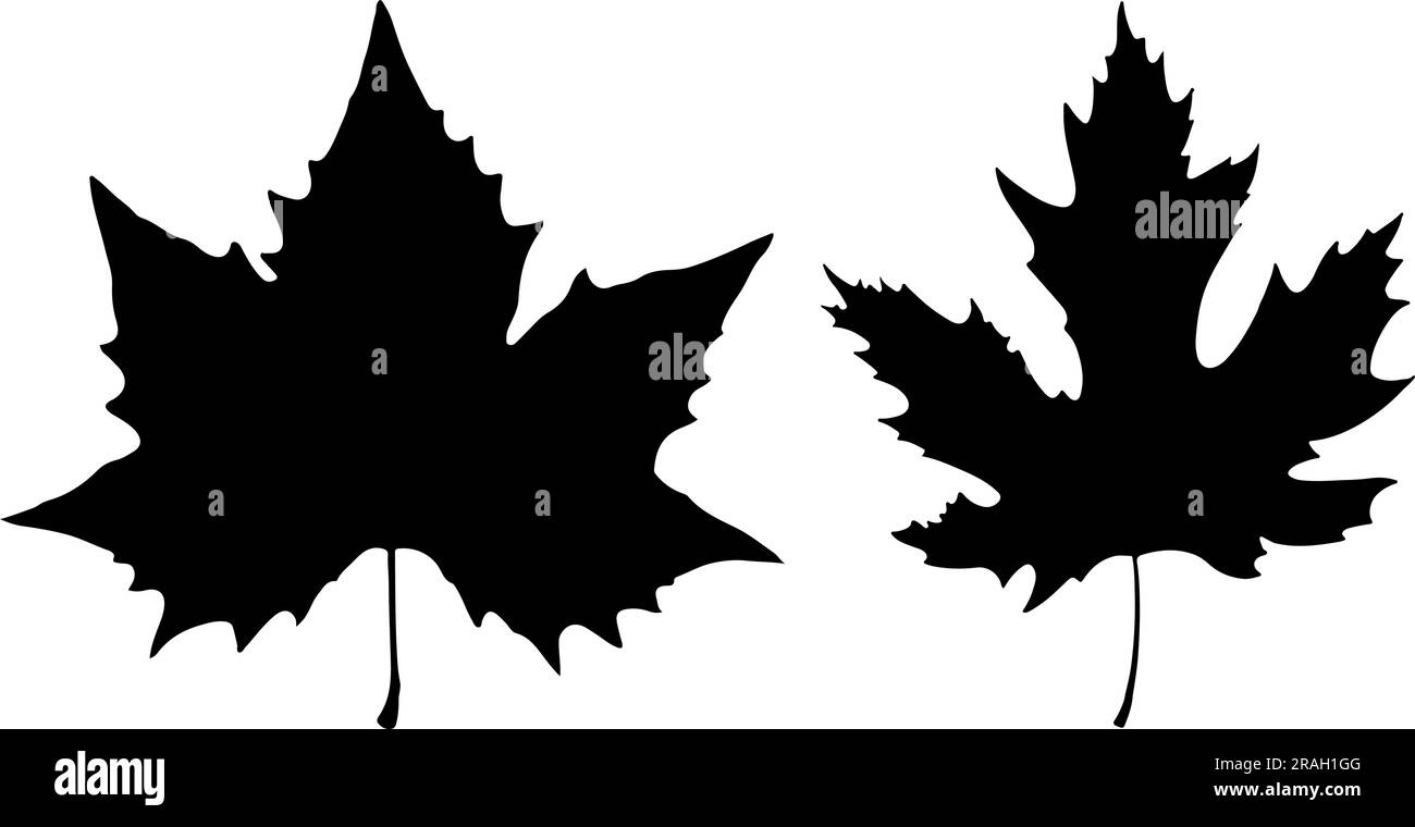 Set of Maple Leaf Silhouette Stock Vector