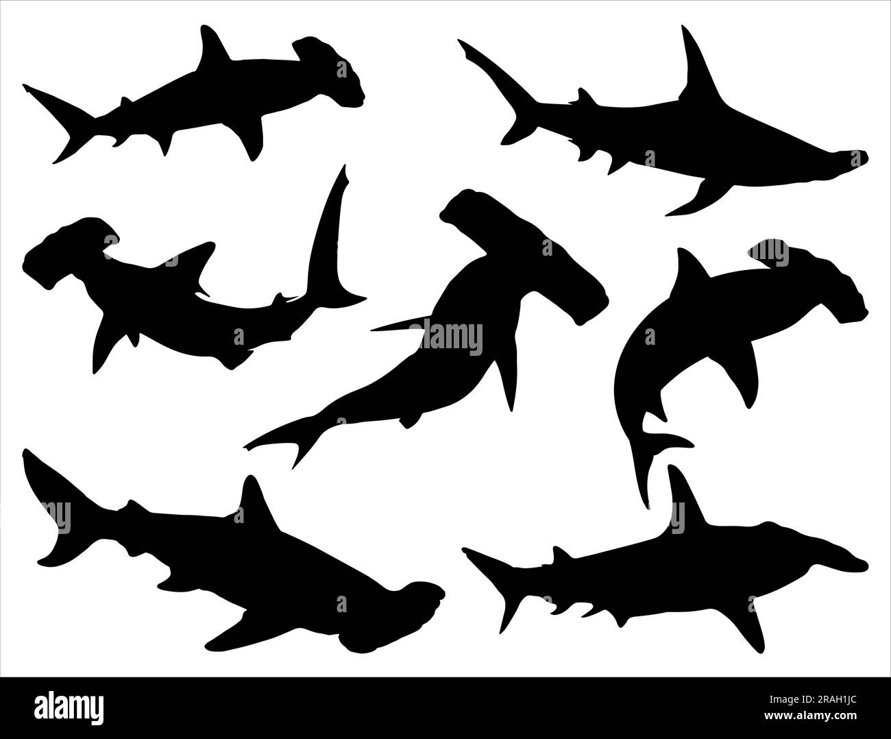 Set of Hammerhead Shark Silhouette Stock Vector
