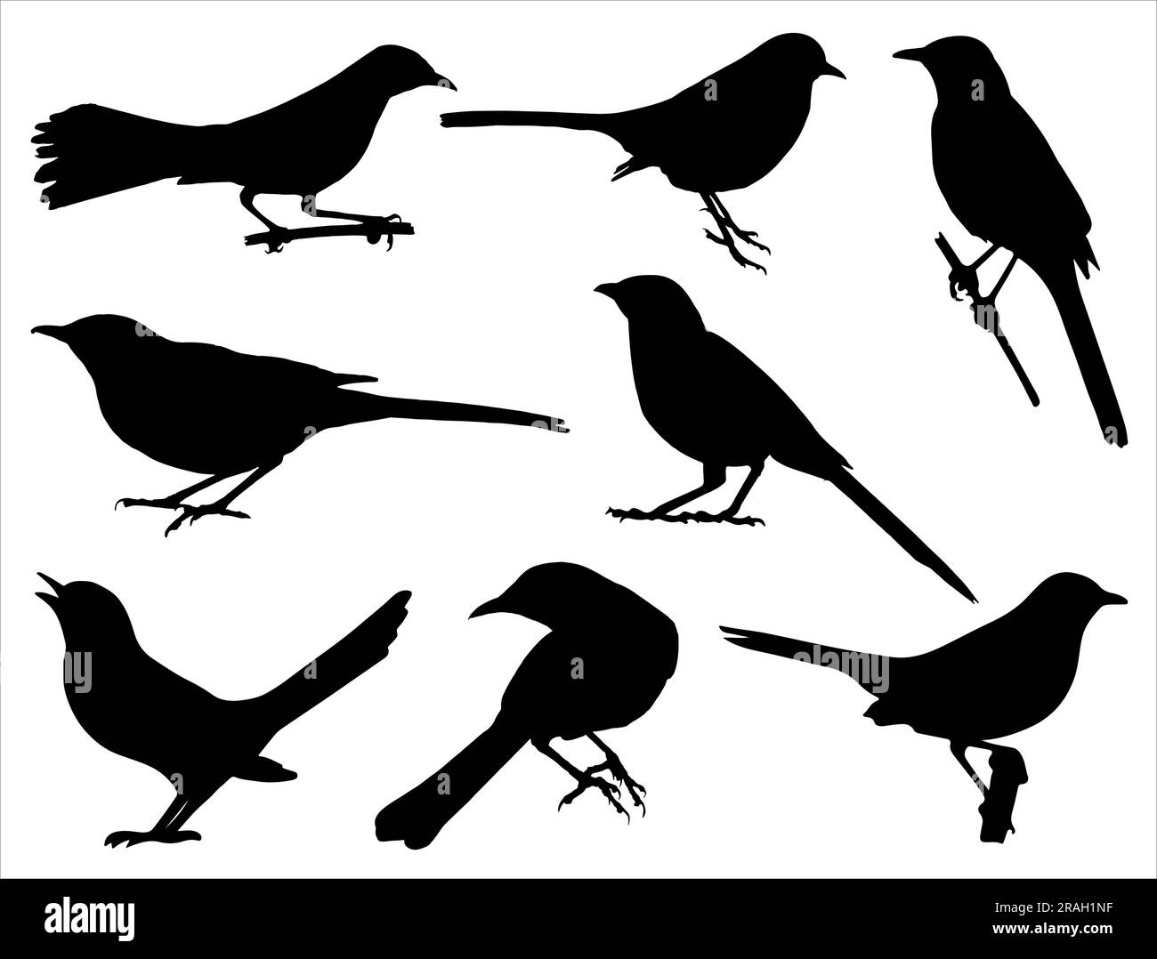Set of Mockingbird Silhouette Stock Vector Image & Art Alamy