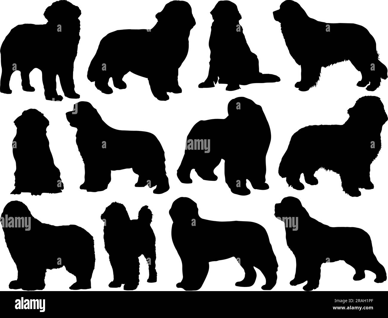 Set of Newfoundland Dogs Silhouette Stock Vector