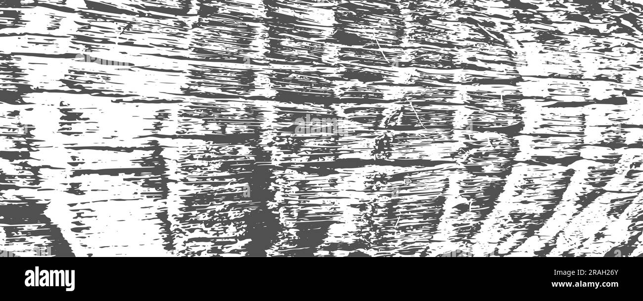 Grunge coconut palm bark texture background. Adged tree stem log. Vector Stock Vector