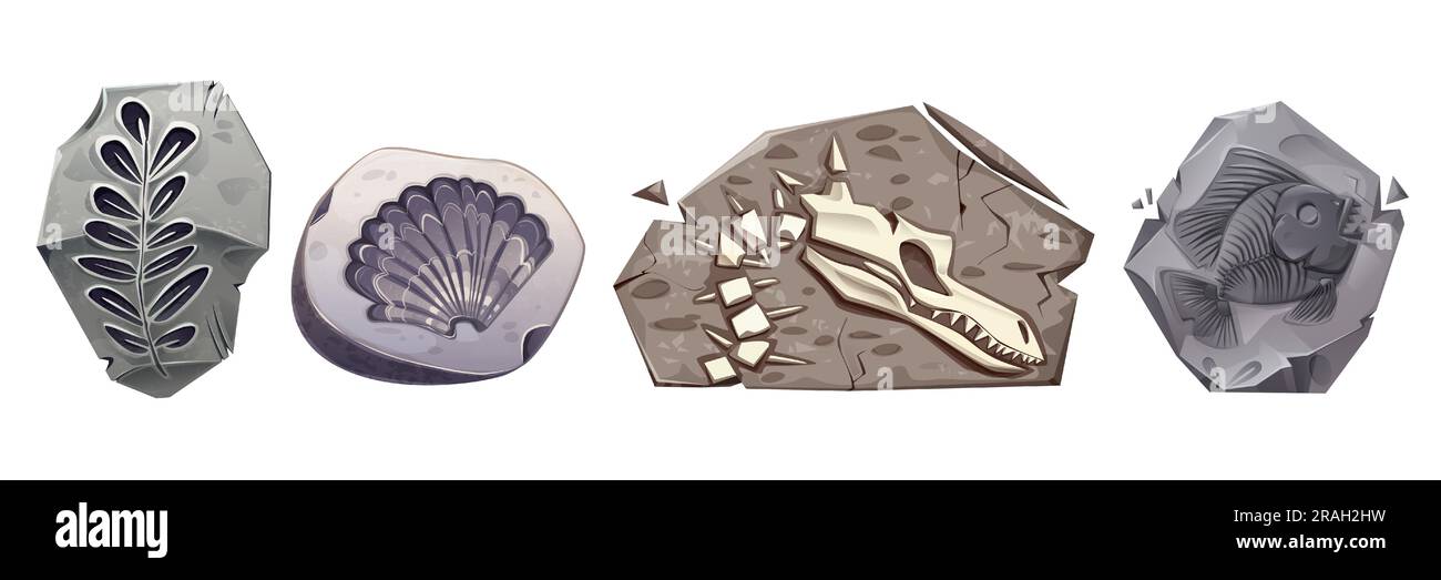 Archaeology icons with stones with fossil dinosaur skeletons, plants, shell and prehistoric fish. Paleontology collection with dino skull in rock, seashell and leaves, vector cartoon set Stock Vector