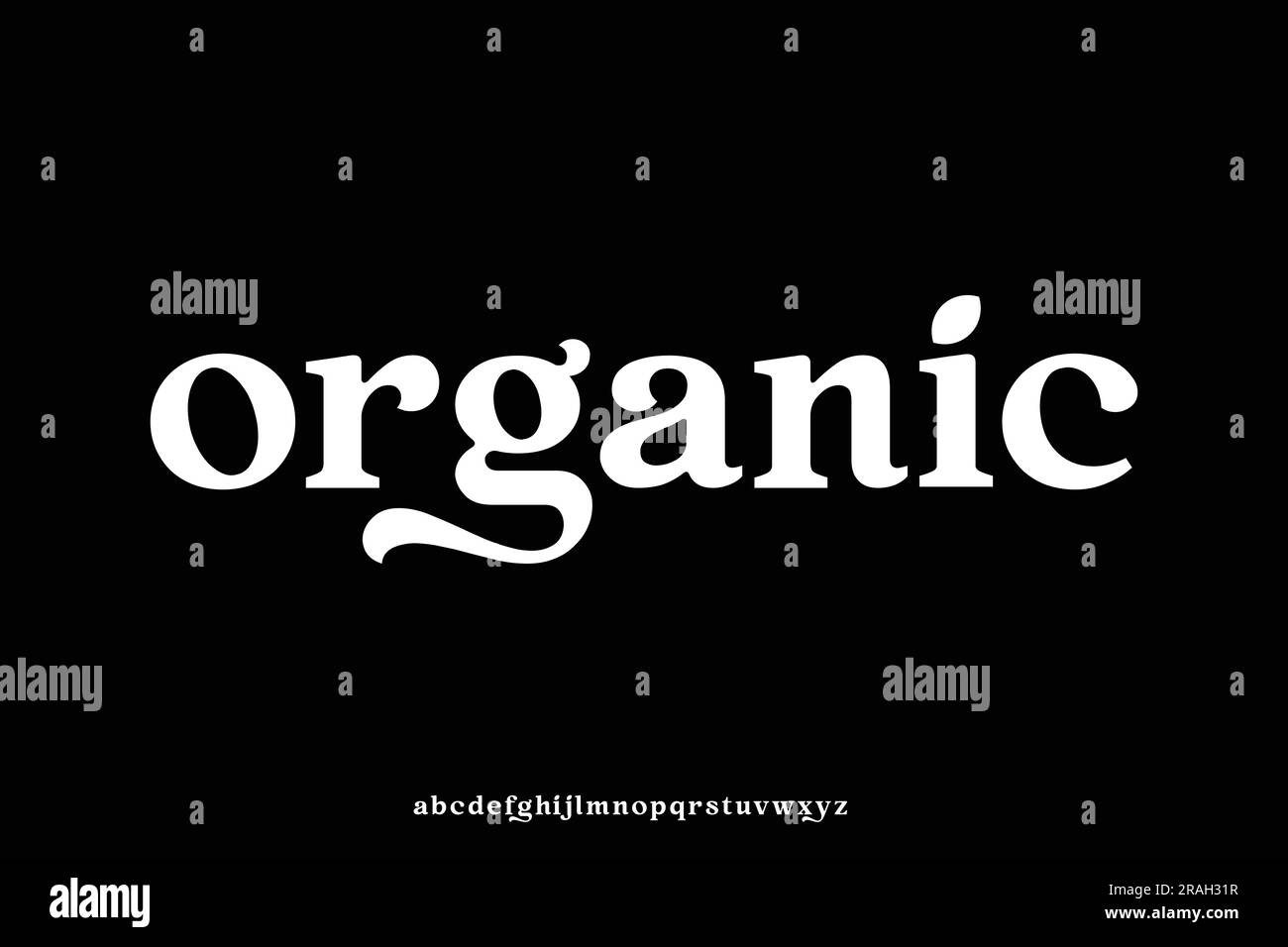 Elegant natural organic typeface display font vector illustration Stock Vector