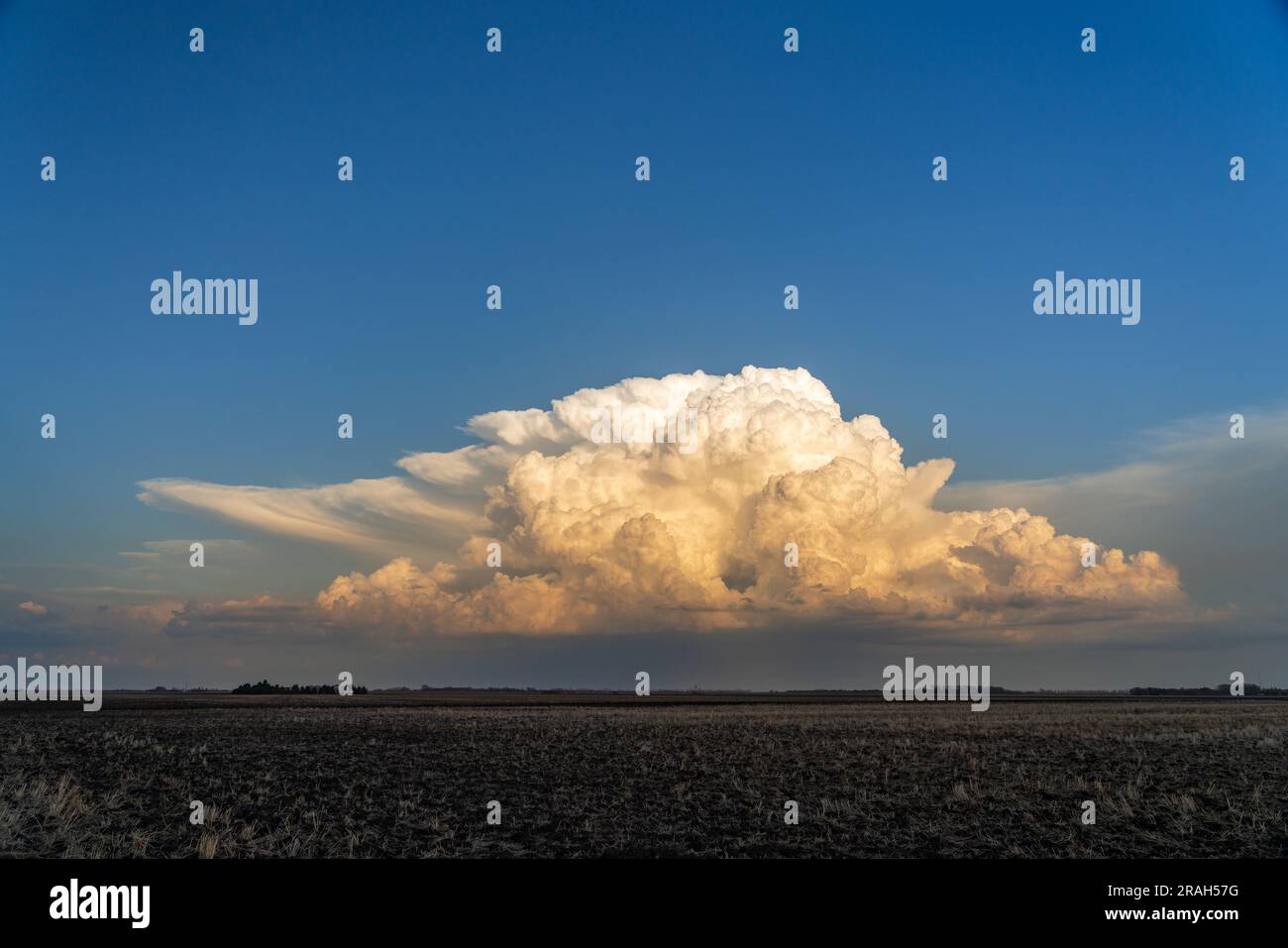 Cumulonimbus clouds on the prairies at sunset near Winkler, Manitoba