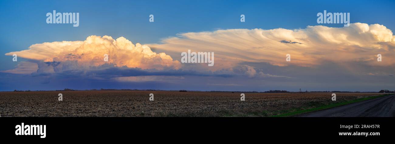 A panorama view of cumulonimbus clouds on the prairies at sunset near Winkler, Manitoba, Canada. Stock Photo