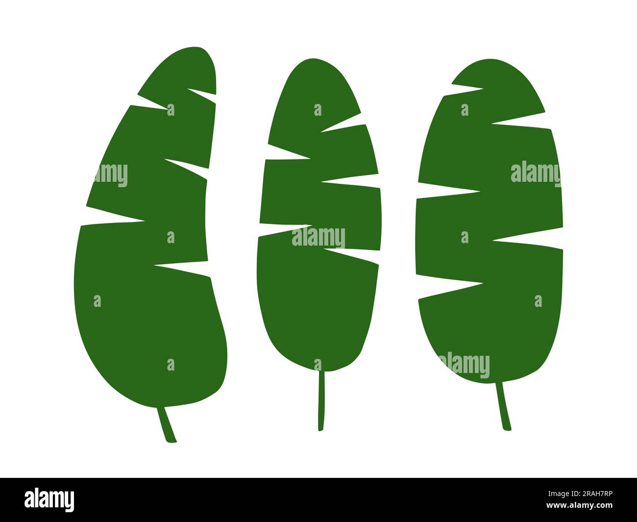 Banana palm leaf vector silhouette set Stock Vector Image & Art - Alamy