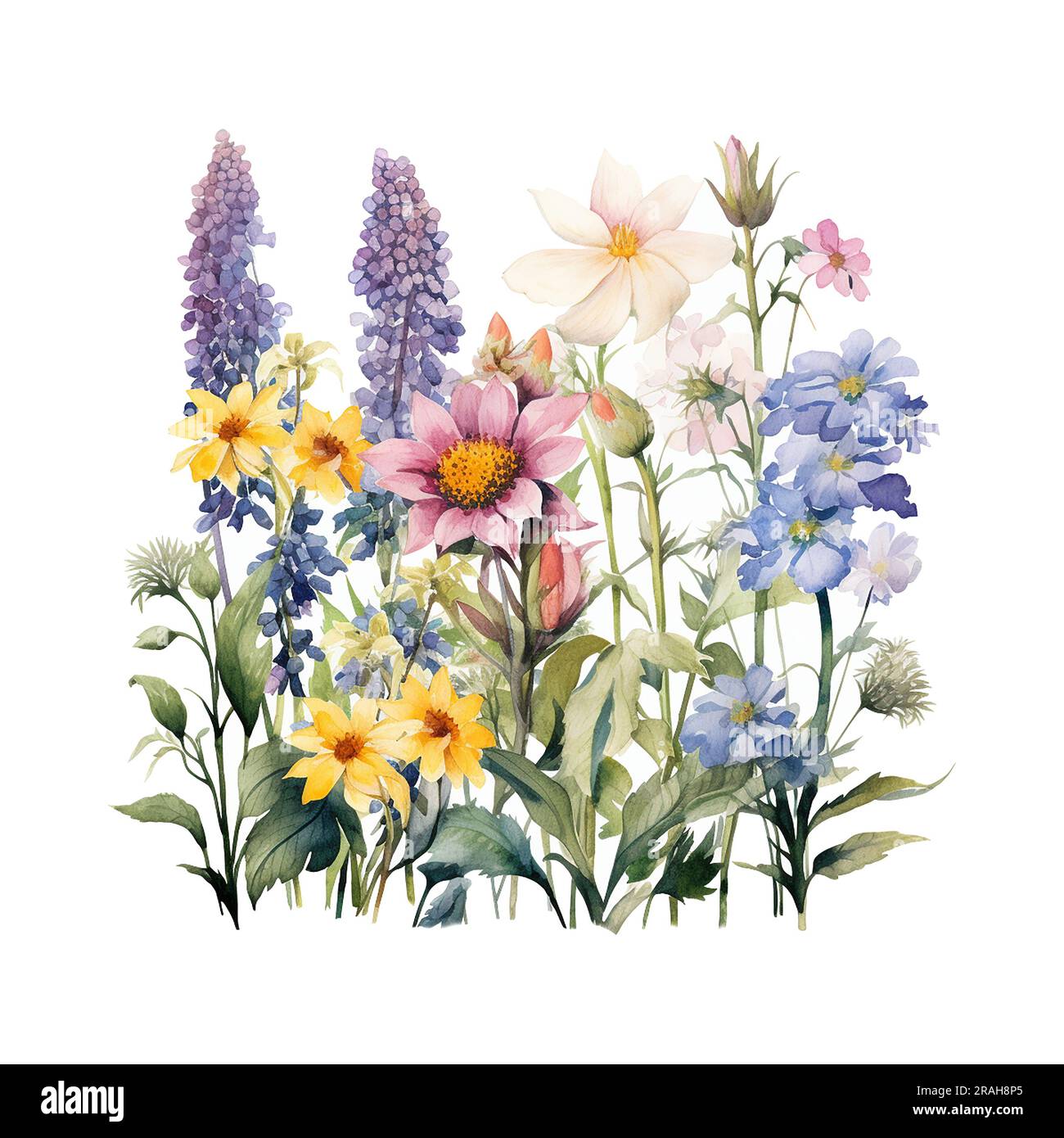 Watercolor bouquet with wildflowers isolated on white background Stock ...