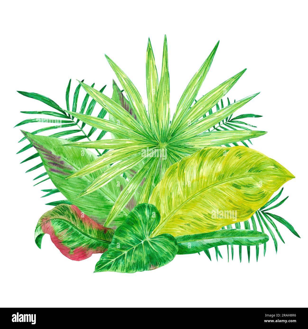 Hand drawn watercolor green tropical leaves composition isolated on ...