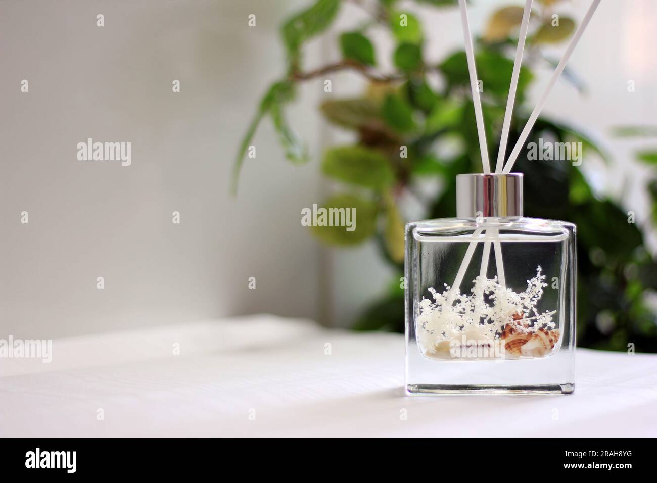 Clear glass bottle diffuser with sea shells and cotton fragrance ...