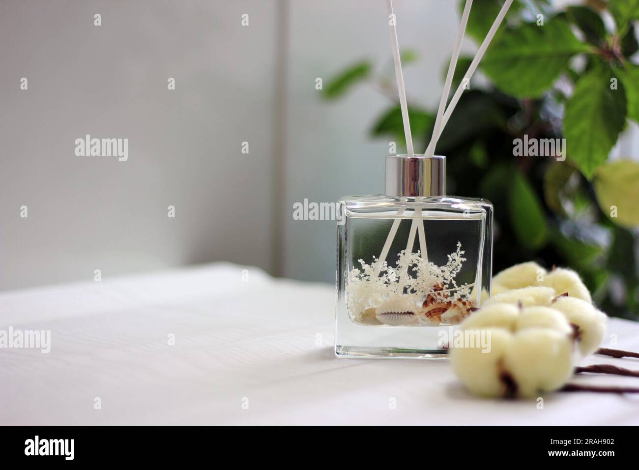 Clear glass bottle diffuser with sea shells and cotton fragrance ...
