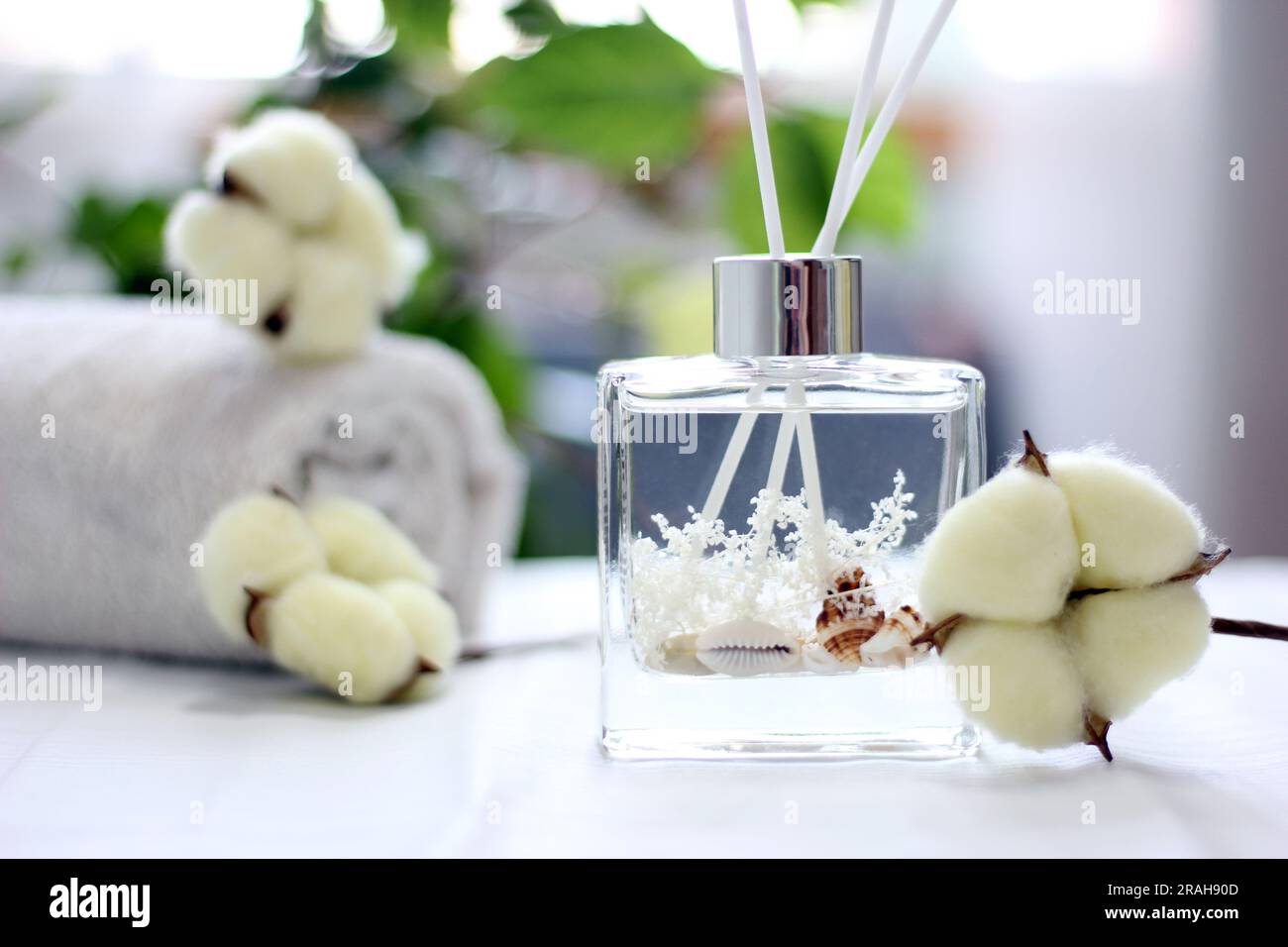 Clear glass bottle diffuser with sea shells and cotton fragrance ...