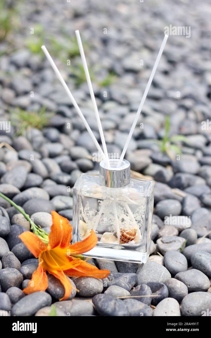 Clear glass bottle diffuser with sea shells and cotton fragrance ...