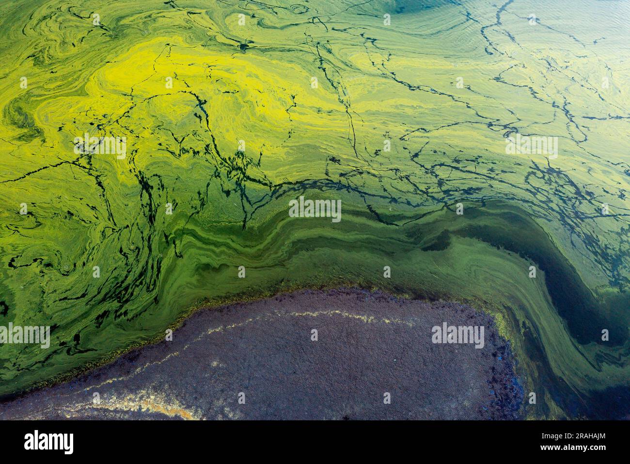 Aerial view of patterns in blue green algae on the waters surface of Lake Eildon in Victoria, Australia Stock Photo